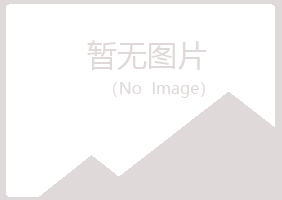 上海南汇紫山会计有限公司